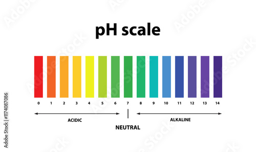 Ph scale chart indicator diagram value .Litmus test.