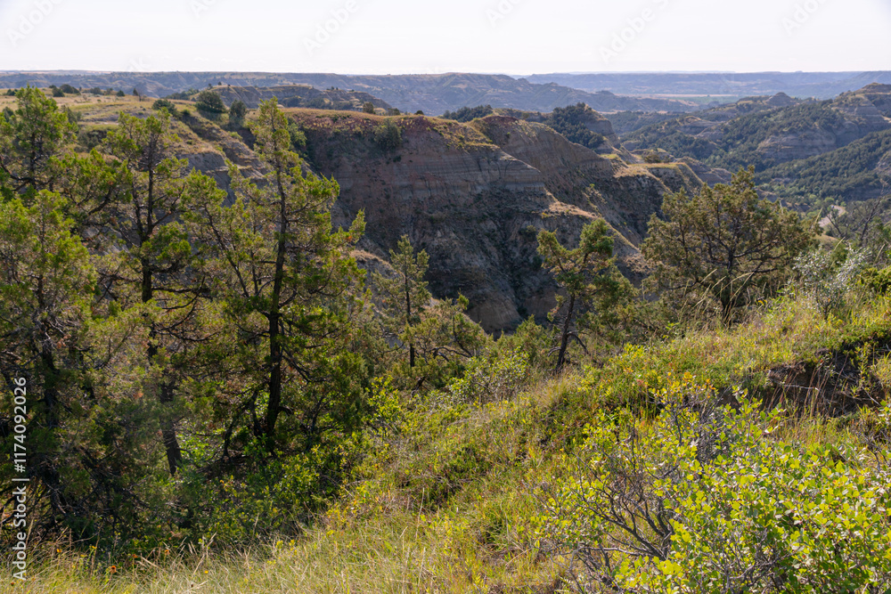 Naklejka premium Caprock Coulee
