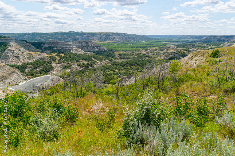 Fototapeta premium South Unit Scenic Drive