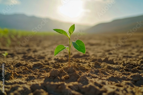 Young plant seedling growing in sunlit soil against mountainous landscape photo