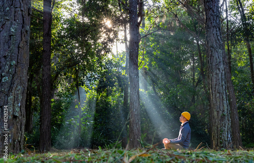 Man relaxingly practicing meditation in the pine forest to attain happiness from inner peace wisdom with beam of sun light for healthy mind and soul for healthy mind and soul photo