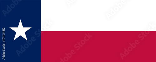 Flag of Texas, long version, Vector Images