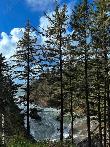 Exploring the Columbia River Gorge  photo