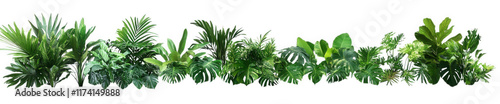 a vibrant array of lush green foliage. featuring various types of leaves and plants. arranged in a continuous line this composition emphasizes the beauty of nature and can be used as a decorative elem