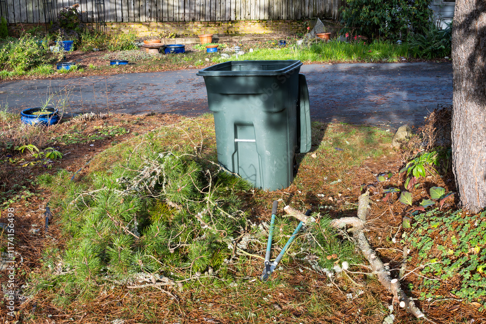 Cleaning up after the storm, large green yard waste recycle bin and loppers, long handle clippers, on the lawn with pile of cut up pine tree branches
Cleaning up after the storm, large green yard waste recycle bin and loppers, long handle clippers, on the lawn with pile of cut up pine tree branches