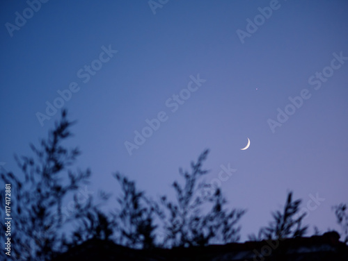 The moon in the twilight sky. Tree branches sway in the foreground. Pula, Croatia - January 3, 2025
