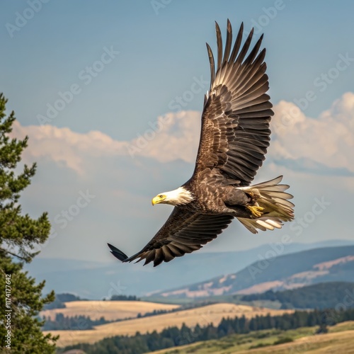 Wallpaper Mural Majestic Bald Eagle in Flight Wide Composition, Mountain Landscape, Freedom Concept, Bird Photography Bald Eagle, Wildlife Photography Torontodigital.ca