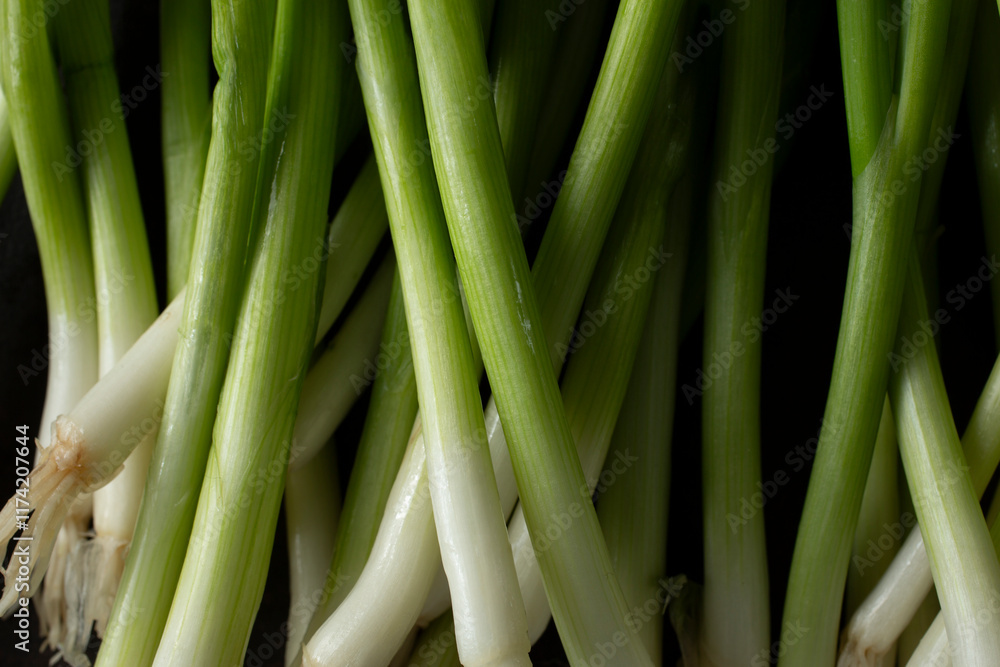 Obraz premium A top down view of a layer of scallions, as a background.