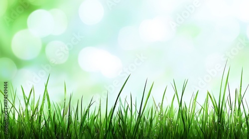 Lush Green Grass Reflection Natural Landscape Photography Bright Environment Close-Up View Nature's Beauty