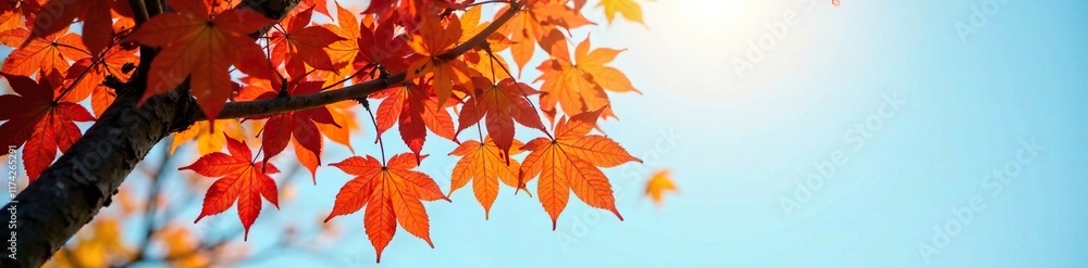 A plane tree branch covered in bright colored autumn leaves against the blue morning sky, light, fall A plane tree branch covered in bright colored autumn leaves against the blue morning sky, light, fall