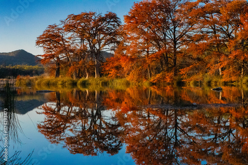 Fall Reflection in the Frio at Garner photo