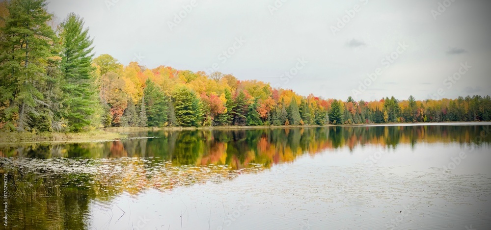 Obraz premium landscape with lake
