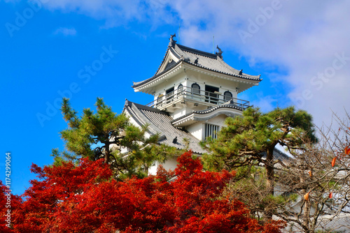 長浜城・紅葉（滋賀県・長浜市）