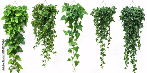 Five artificial hanging ivy plants, showcasing different shades and textures of green,