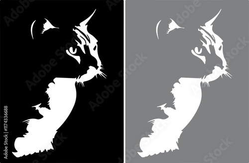 cat vector illustration isolated on background