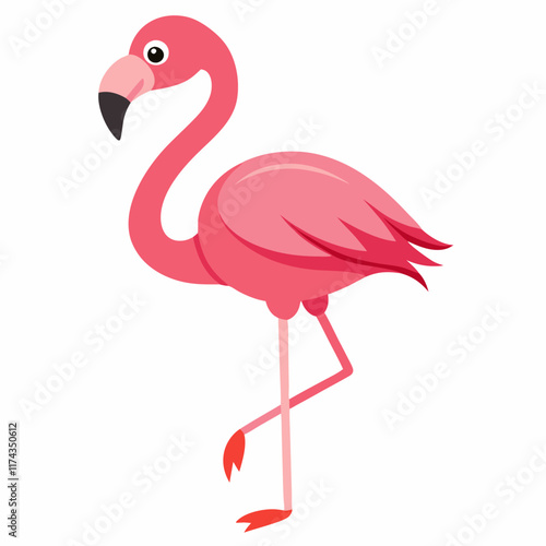 Exotic pink flamingos birds. A Flamingo with rose feathers stands on one leg. Rosy plumage flam bird cartoon vector illustration