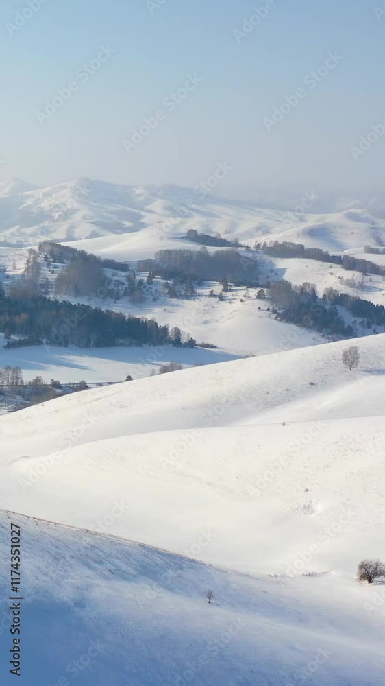 Vertical Aerial video from drone on winter snow landscape. Biryuksinsky mountain pass in Altai.
