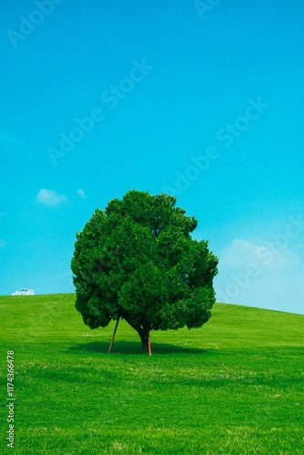 Wallpaper Mural travel Torontodigital.ca