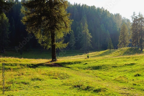 Wallpaper Mural travel Torontodigital.ca