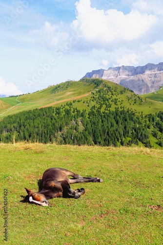 Wallpaper Mural travel Torontodigital.ca