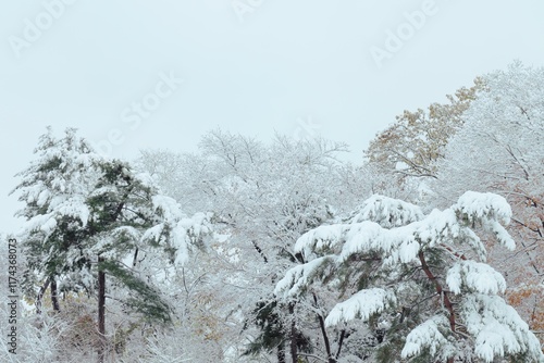 Wallpaper Mural travel Torontodigital.ca