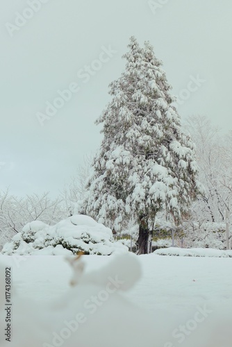 Wallpaper Mural travel Torontodigital.ca