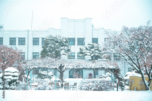 Wallpaper Mural travel Torontodigital.ca