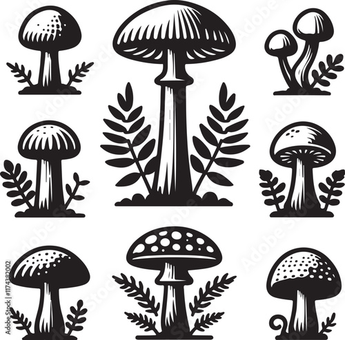 Mushroom Illustrations and Vector Art for Designers