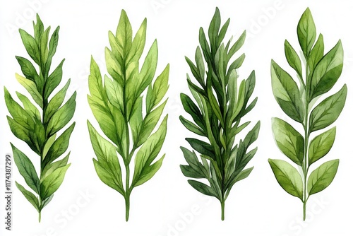 A collection of illustrated green leaves showcasing various shapes and textures.