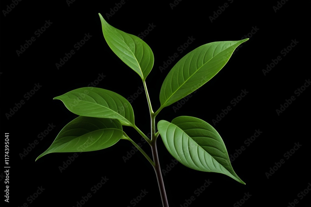 Fototapeta premium there is a small plant that is growing out of a vase