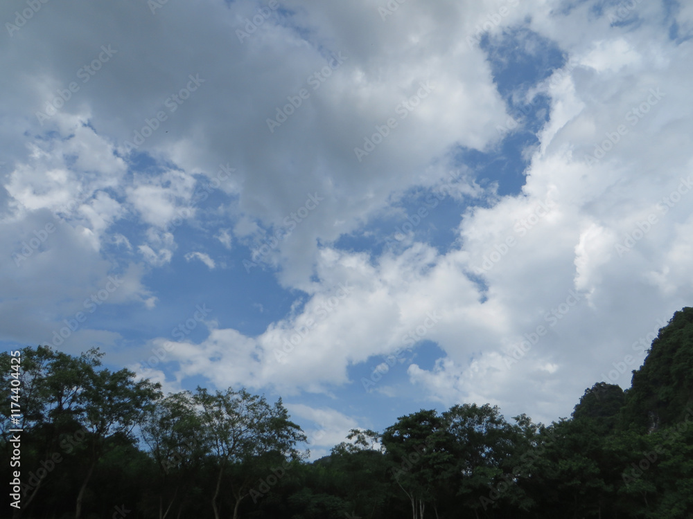 Lush Greenery Meets Expansive Blue: A Perfect Contrast in Nature in Phong Nha, Quang Binh, Vietnam Lush Greenery Meets Expansive Blue: A Perfect Contrast in Nature in Phong Nha, Quang Binh, Vietnam