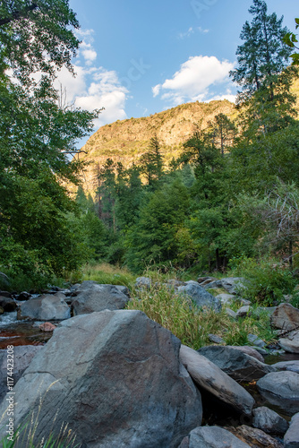 Rocks in a stream at the base of rising mountains