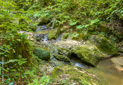 spring hike to the sources of a mountain river along the riverbed and canyon through impassable wilderness areas photo