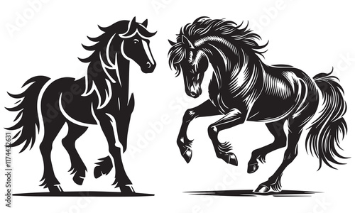 black and white horse