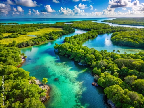 Aerial Drone View of Tulum Lagoon, Sian Ka'an Biosphere Reserve, Mexico: Turquoise Waters & Lush Mangroves