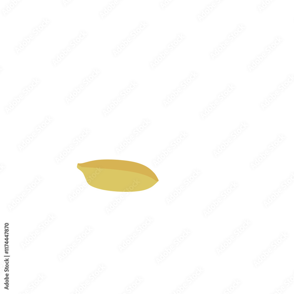 rice seed illustration rice seed illustration