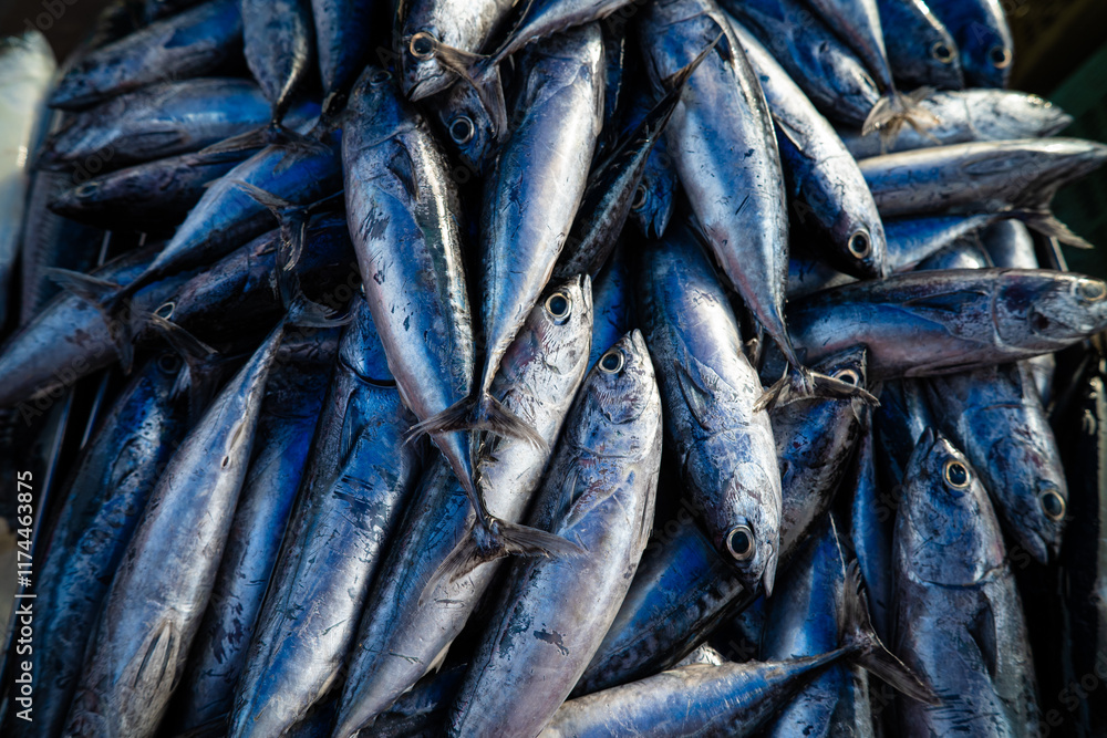 Tuna seafood fish sell in local fishery market Tuna seafood fish sell in local fishery market