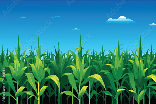 A vibrant green cornfield with tall, healthy corn stalks reaching towards the sky under a clear, bright blue sky.