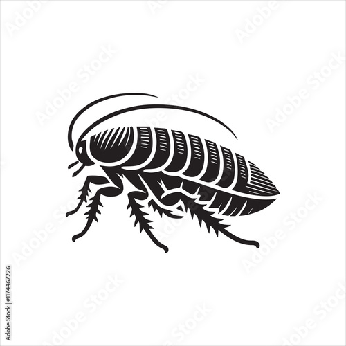 illustration of a beetle