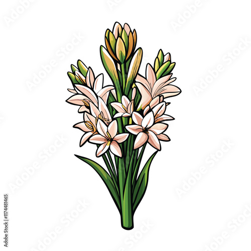 A close-up illustration of a fragrant tuberose flower, showcasing its distinctive tubular shape and delicate petals.