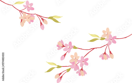 桜の枝のイラスト