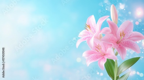 Pastel lily blooms against blue sky nature scene floral arrangement tranquil environment close-up view serenity concept