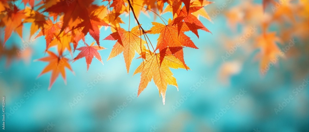 Close-up of a yellow autumn leaf. A bright orange tree changes with a blurred bokeh background. Golden colors in the park on a light, sunny, and warm October day.
Close-up of a yellow autumn leaf. A bright orange tree changes with a blurred bokeh background. Golden colors in the park on a light, sunny, and warm October day.