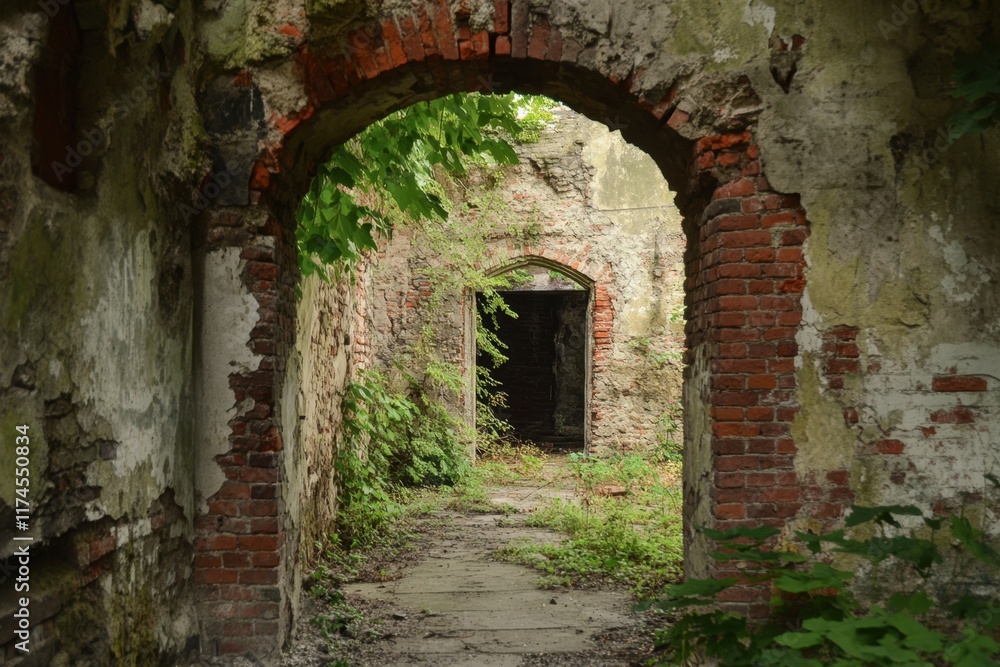 Overgrown Ruin Archway Pathway Leads To Interior Door Overgrown Ruin Archway Pathway Leads To Interior Door