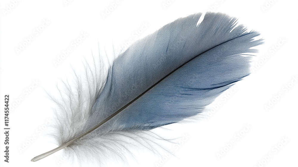 A soft feather is displayed diagonally across the frame, with a blue left side fading into pink at the right A soft feather is displayed diagonally across the frame, with a blue left side fading into pink at the right