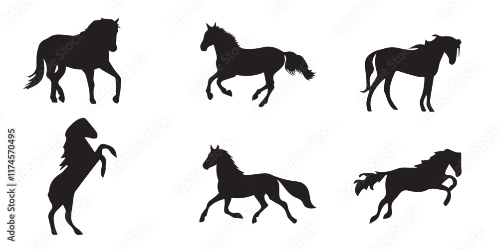Obraz premium silhouette horse