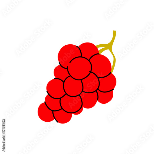 Fresh red grapes hanging from a vine in a sunny vineyard during harvest season