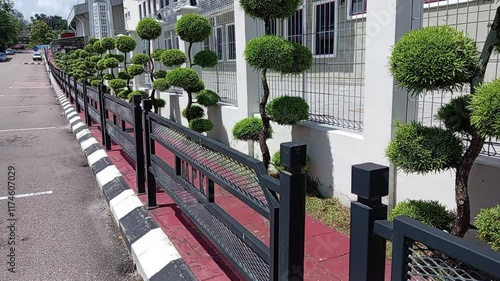 Bonsai tree on the fence at the entrance to the building in kluang, johor, malayaia
 photo