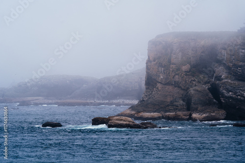 Cape Flattery landscape in the Olympic Peninsula in summer in the furthest northwest corner of Washington