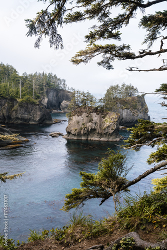 Wallpaper Mural Cape Flattery landscape in the Olympic Peninsula in summer in the furthest northwest corner of Washington Torontodigital.ca